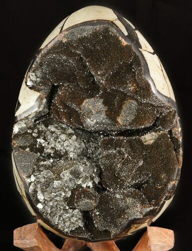 Septarian Dragon Egg Geode - Black Crystals #47472